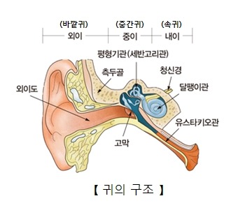 이*석 이미지